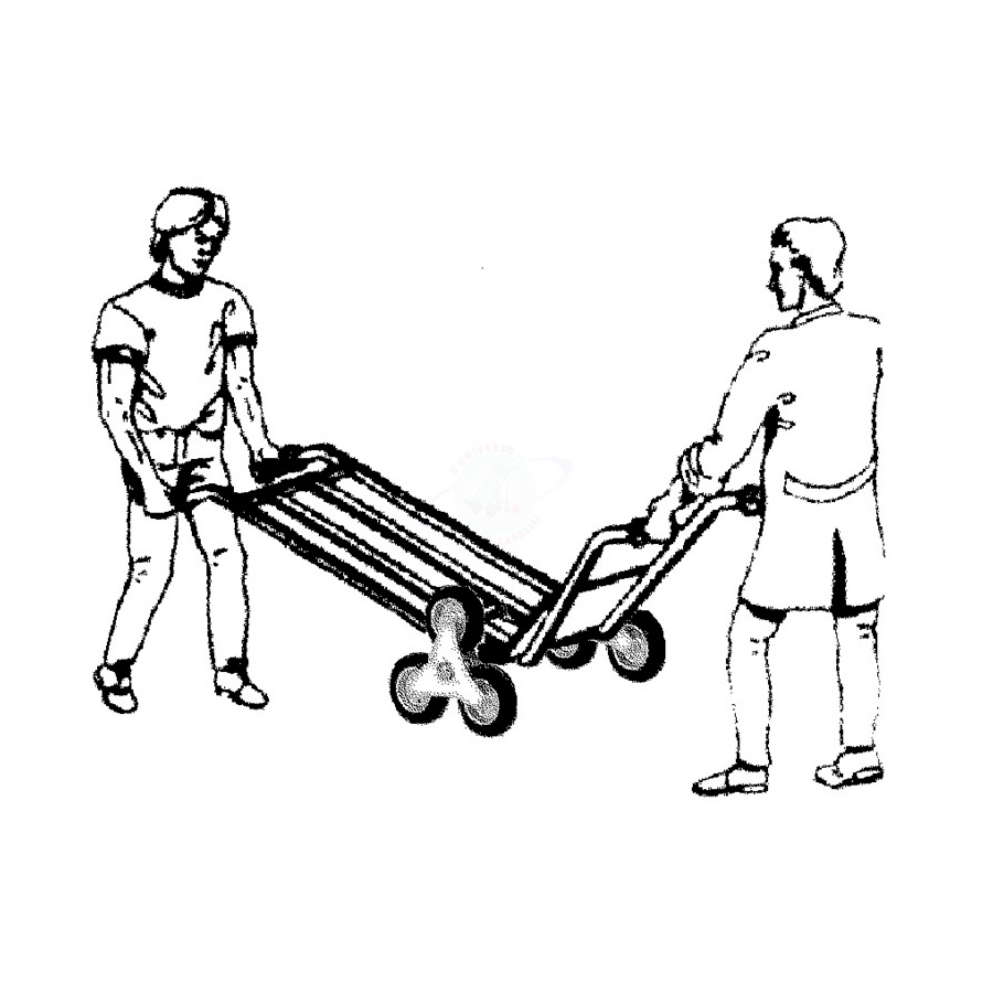 Carrello 2 ruote a doppia impugnatura ruote pneumatiche/ Portata 250Kg