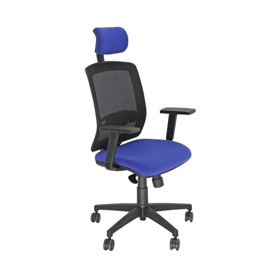 Sedia Ergonomica ERIS: Schienale rete, Poggiatesta, Sostegno lombare, Braccioli - BLU