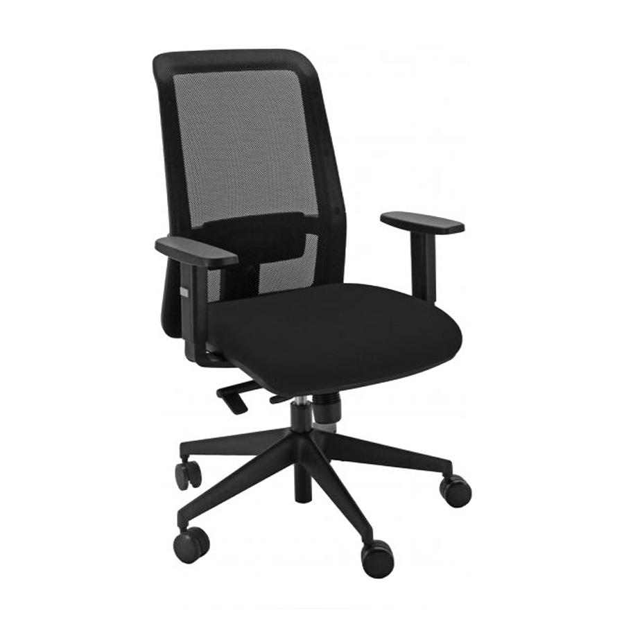 Sedia Ergonomica IRIS: Schienale rete, Comodo sedile, Sostegno lombare, Braccioli - NERO