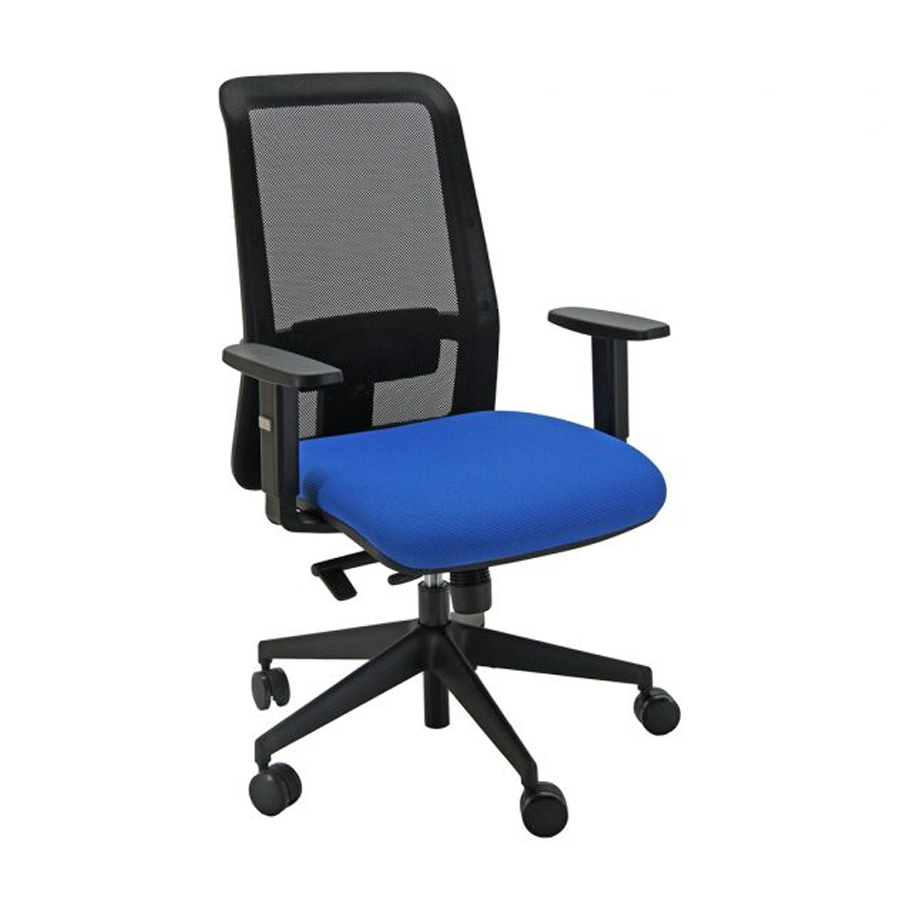 Sedia Ergonomica IRIS: Schienale rete, Comodo sedile, Sostegno lombare, Braccioli - BLU