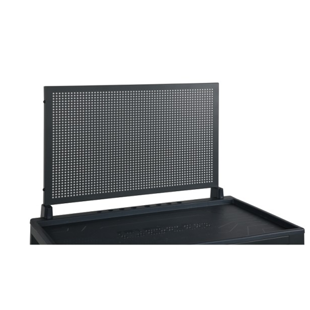 Pannelli forati rsc24 c/supporti PF